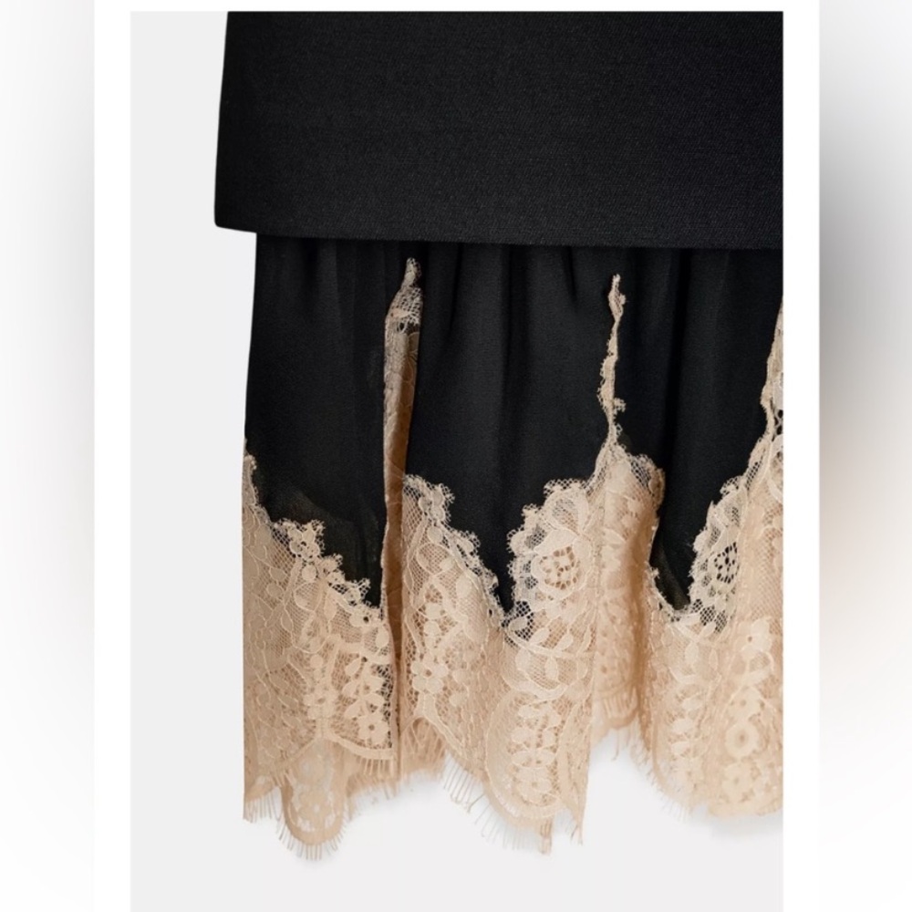 ZARA Combined Lace Skirt ZW Collection - Picture 12 of 15